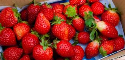 Strawberries ranked #1 for most pesticides