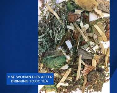 Toxic Herbal tea causes critcal illness and death in San Francisco Chinatown