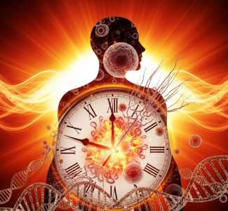 🔥 Can Extreme Heat Literally Make You Age Faster?